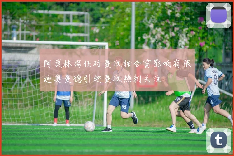 阿莫林离任对曼联转会窗影响有限迪奥曼德引起曼联热刺关注