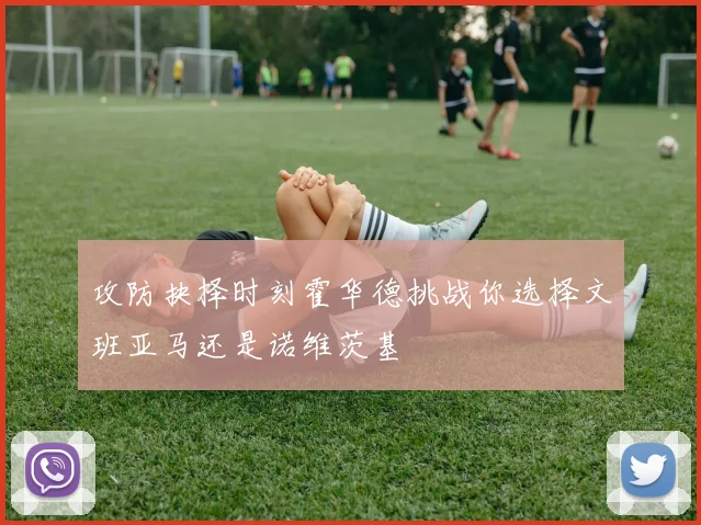 攻防抉择时刻霍华德挑战你选择文班亚马还是诺维茨基